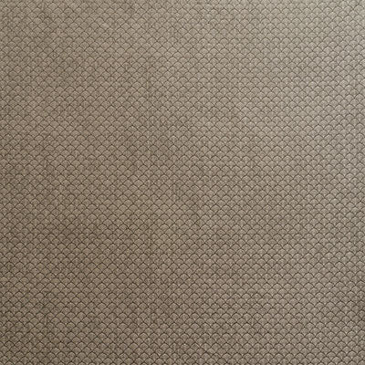 Schumacher Ashton Flint Fabric Sample 71622