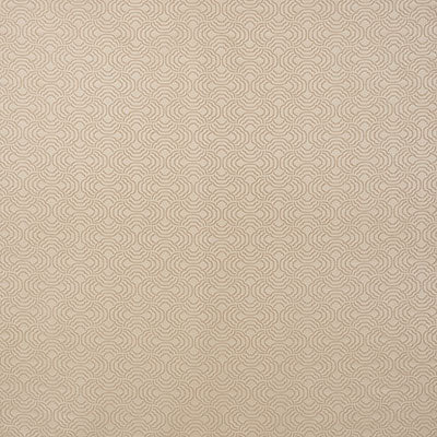 Schumacher Apollo Moonstone Fabric Sample 71650