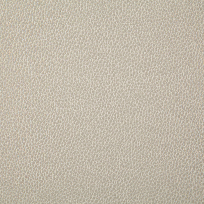 Pindler Sanders Chalk Fabric 7225