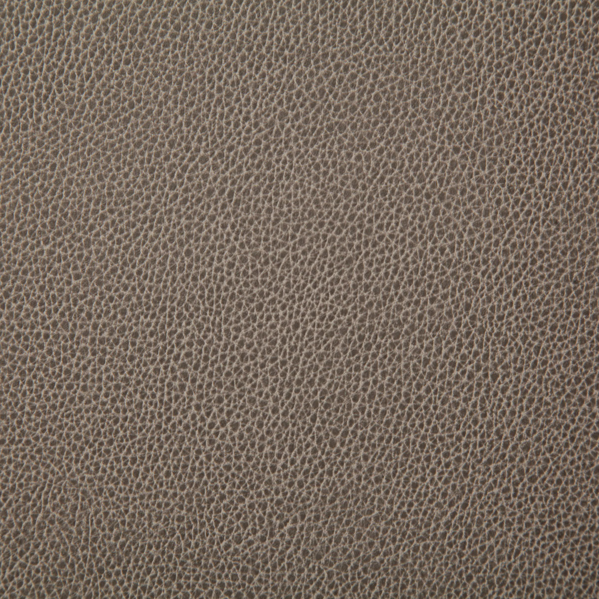 Pindler Sanders Mushroom Fabric 7225