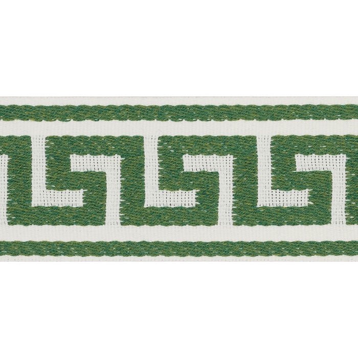 Schumacher Ganton Tape Indoor/Outdoor Green Trim 72393