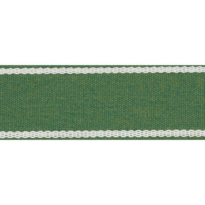 Schumacher Sullivan Tape Indoor/Outdoor Green Trim Sample 72403