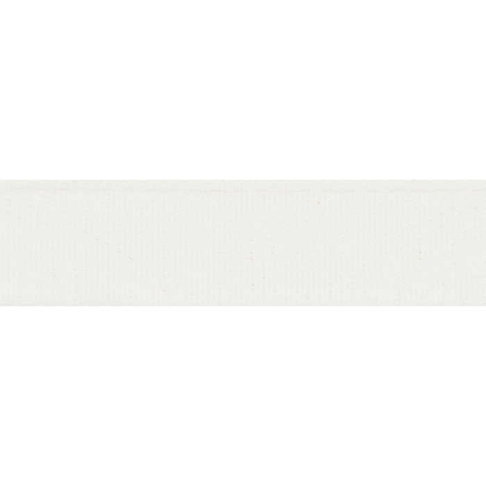 Schumacher Ashwood Tape Indoor/Outdoor White Trim Sample 72410