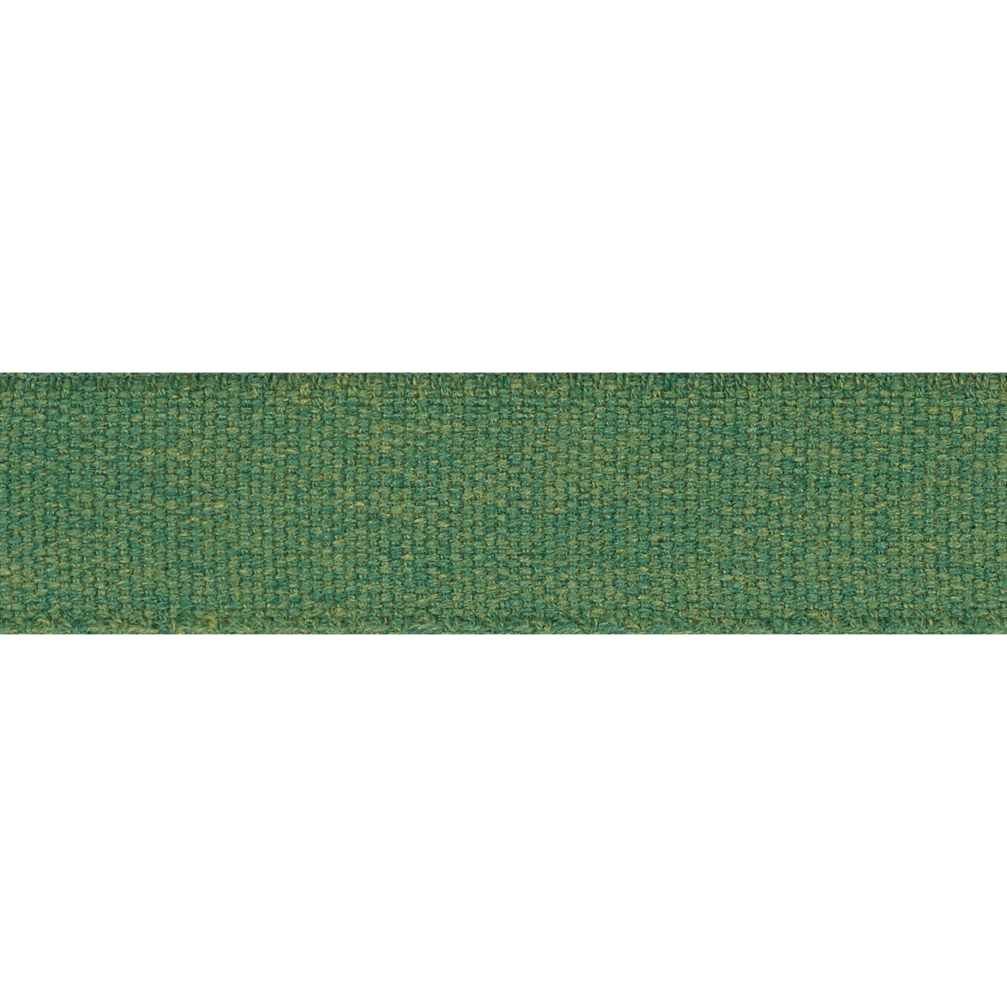 Schumacher Ashwood Tape Indoor/Outdoor Green Trim 72414