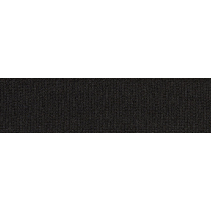 Schumacher Ashwood Tape Indoor/Outdoor Black Trim Sample 72416