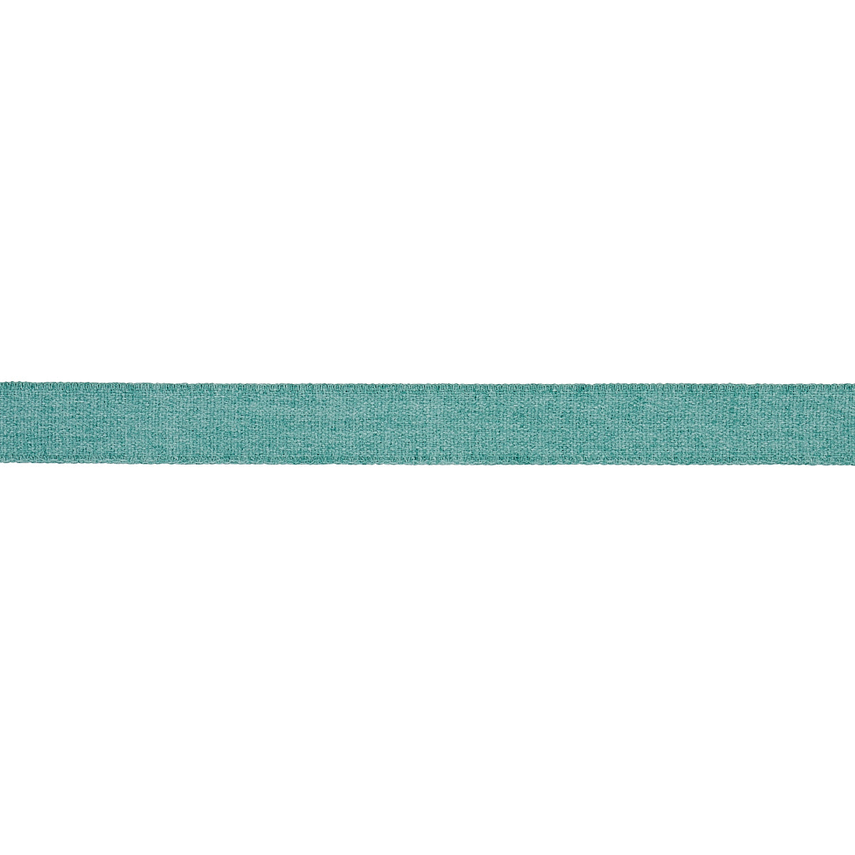 Schumacher Ashwood Tape Indoor/Outdoor Aqua Trim 72417