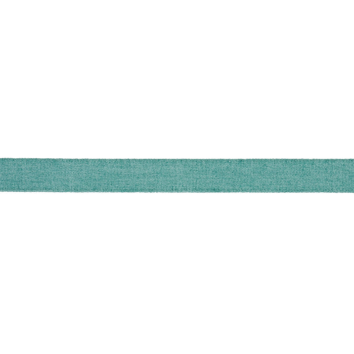 Schumacher Ashwood Tape Indoor/Outdoor Aqua Trim Sample 72417