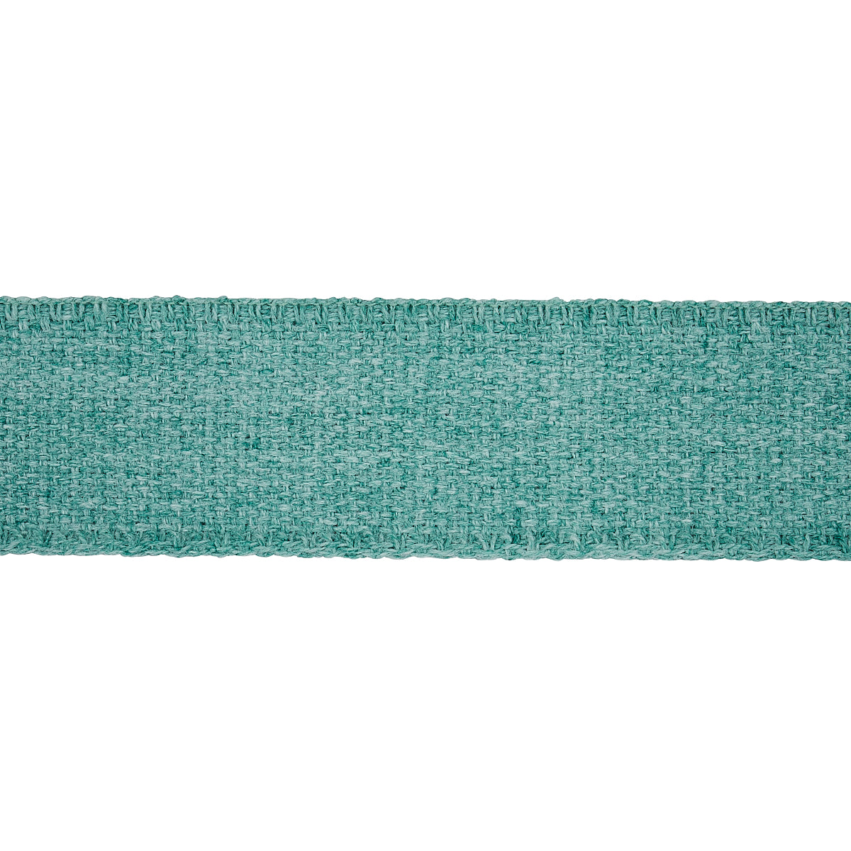 Schumacher Ashwood Tape Indoor/Outdoor Aqua Trim 72417