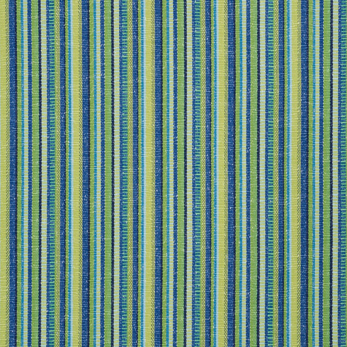 Schumacher Primavera Stripe Meadow Fabric Sample 73113