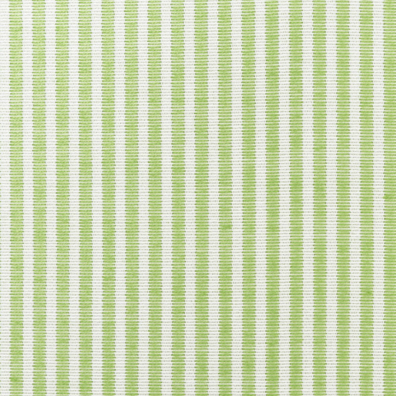 Schumacher Easton Stripe Indoor/Outdoor Leaf Fabric Sample 73151