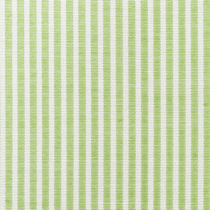 Schumacher Easton Stripe Indoor/Outdoor Leaf Fabric Sample 73151