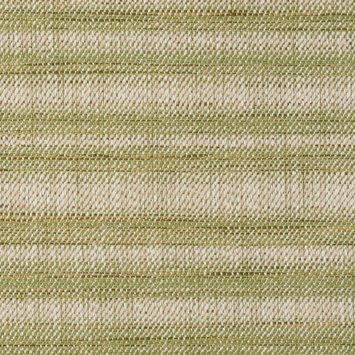 Schumacher Petra Stripe Grass Fabric Sample 73362