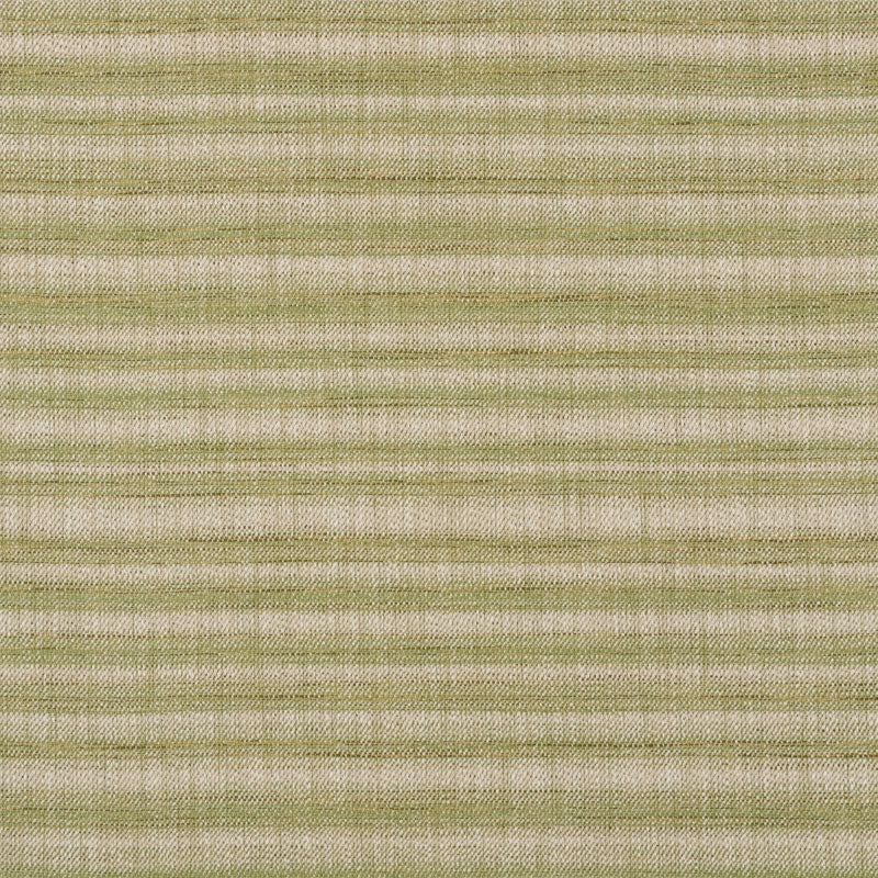 Schumacher Petra Stripe Grass Fabric Sample 73362