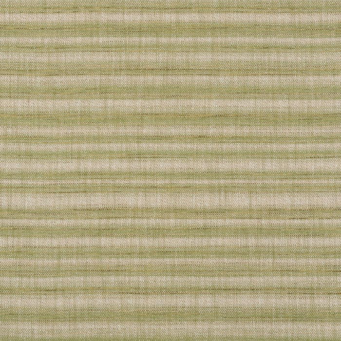 Schumacher Petra Stripe Grass Fabric Sample 73362