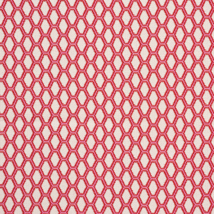 Schumacher Beehive Valentine Fabric 73421