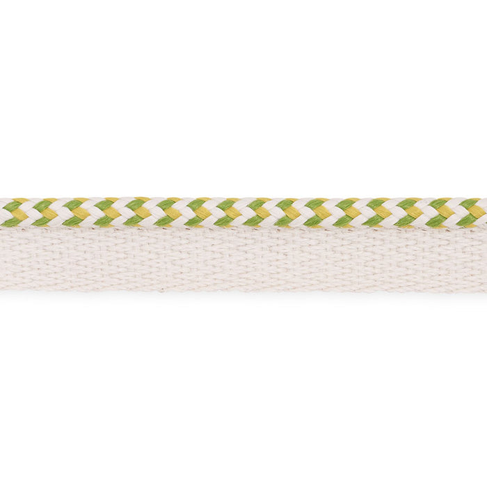 Schumacher Bolander Cord Indoor/Outdoor Leaf Trim Sample 73475