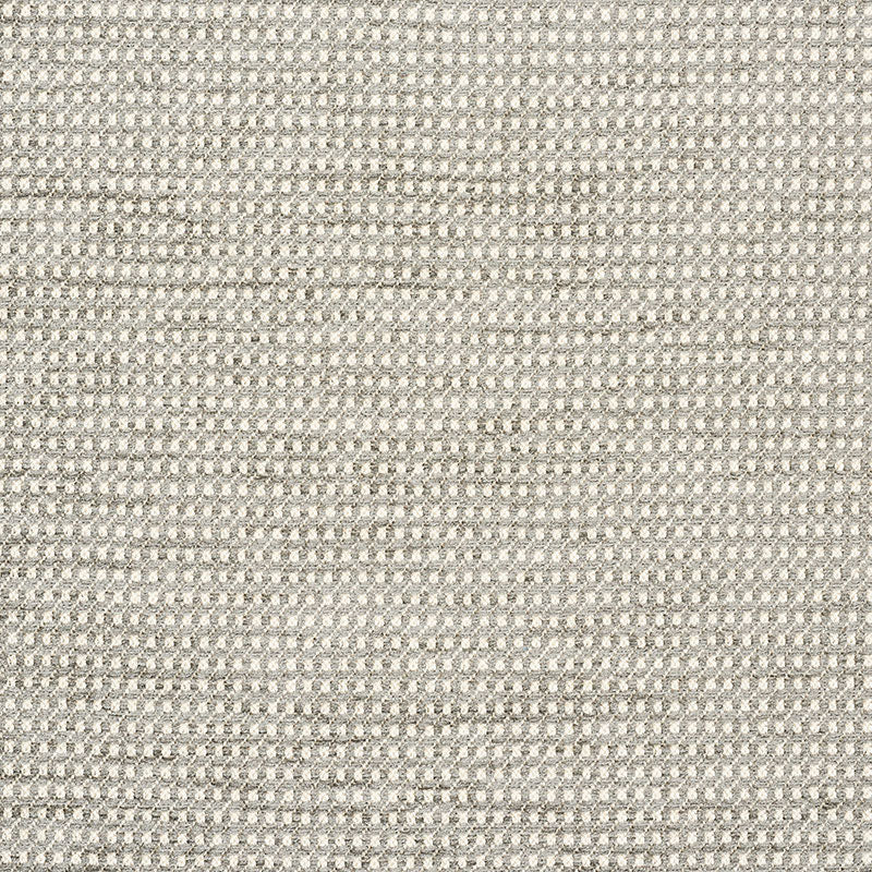 Schumacher Toscana Grey Fabric Sample 73500