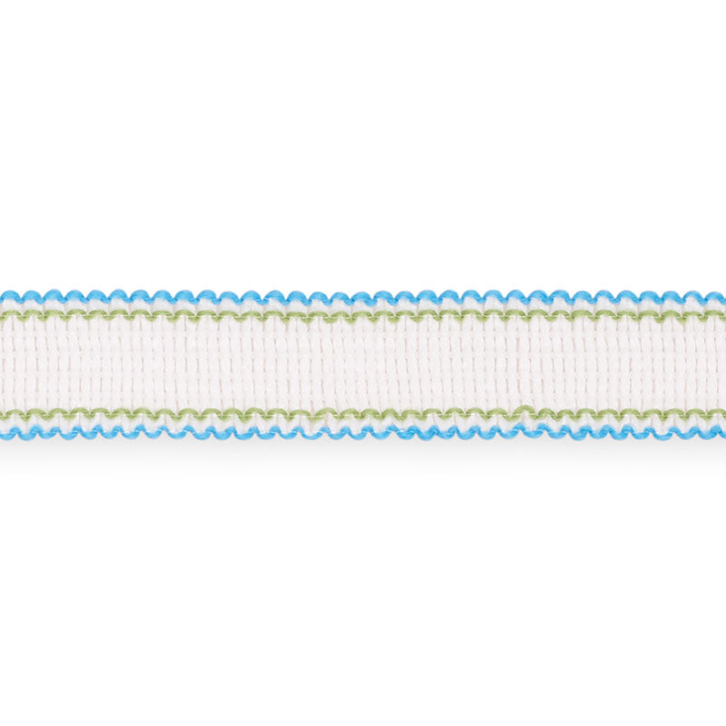 Schumacher Filippa Tape Indoor/Outdoor Aqua Trim 73571