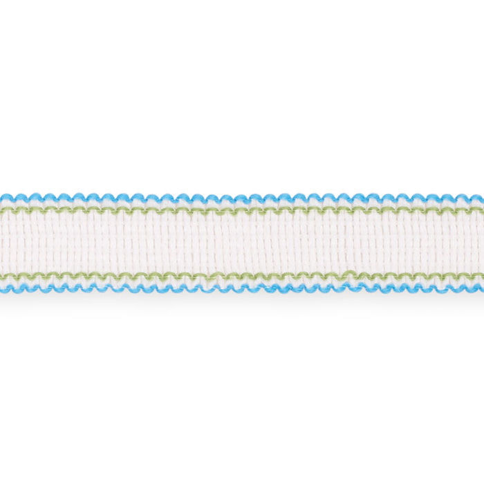 Schumacher Filippa Tape Indoor/Outdoor Aqua Trim Sample 73571