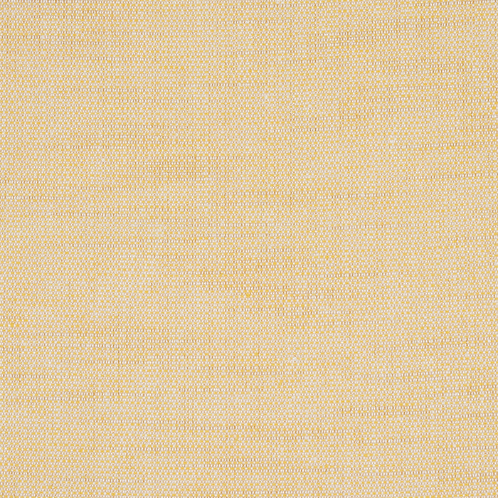 Schumacher Camarillo Weave Indoor/Outdoor Yellow Fabric Sample 73877