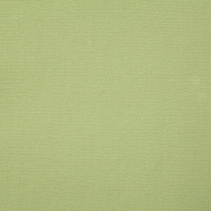 Pindler Hutton Citron Fabric 7415