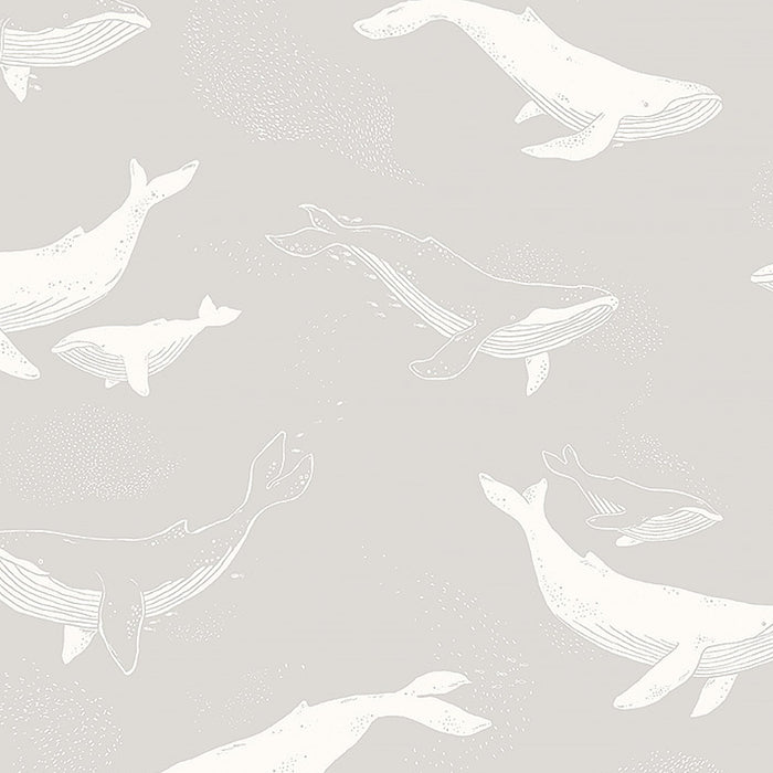 Schumacher Whales Grey Wallpaper 7452