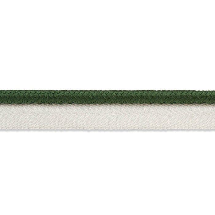 Schumacher Gustave Silk Lip Cord Medium Emerald Trim Sample 74554