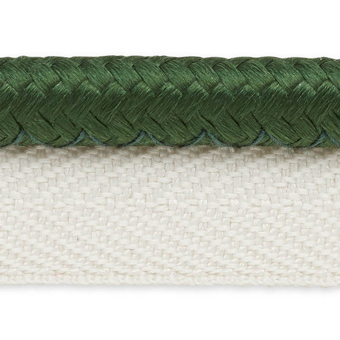 Schumacher Gustave Silk Lip Cord Wide Emerald Trim Sample 74574