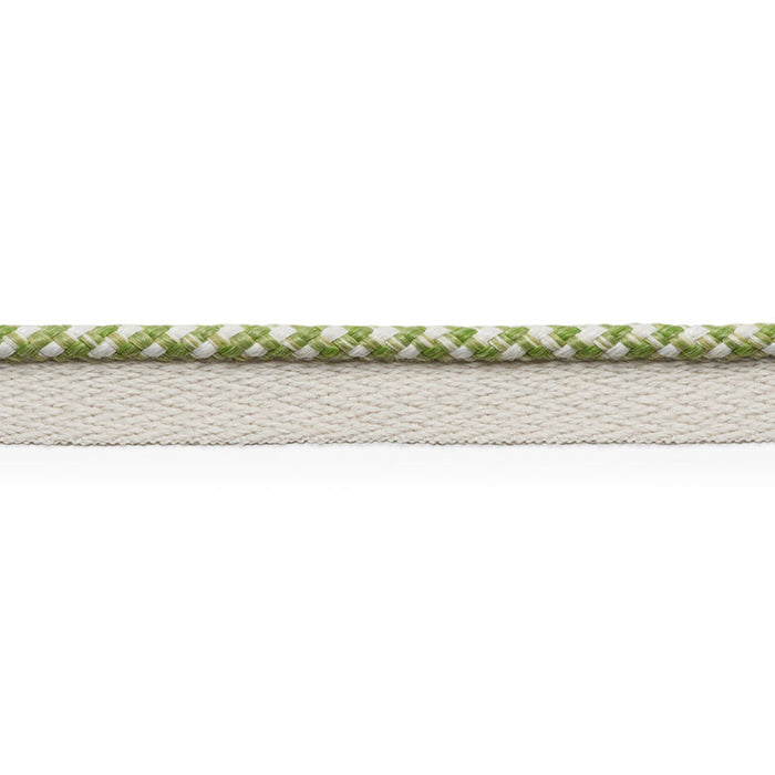 Schumacher Keaton Lip Cord Indoor/Outdoor Leaf Trim Sample 74904