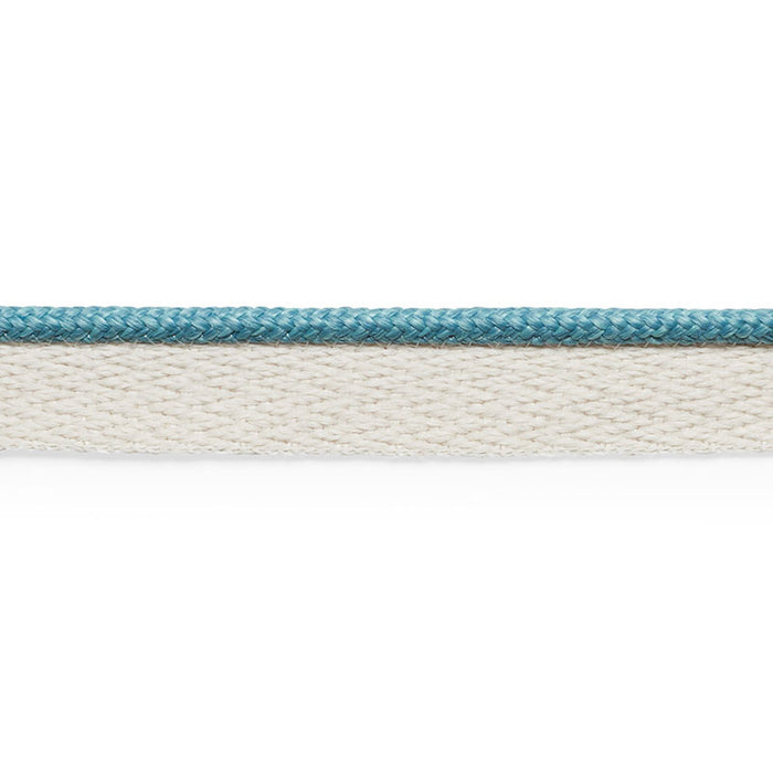 Schumacher Coleman Lip Cord Ocean Trim Sample 74924