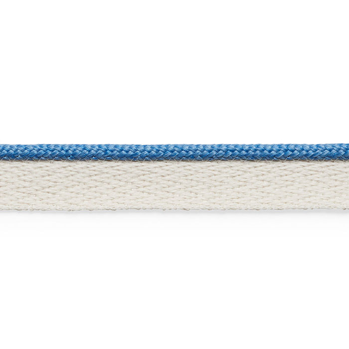 Schumacher Coleman Lip Cord Delft Trim 74925