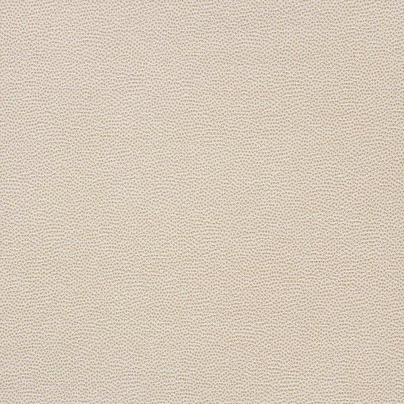 Schumacher Stingray Champagne Fabric 75200