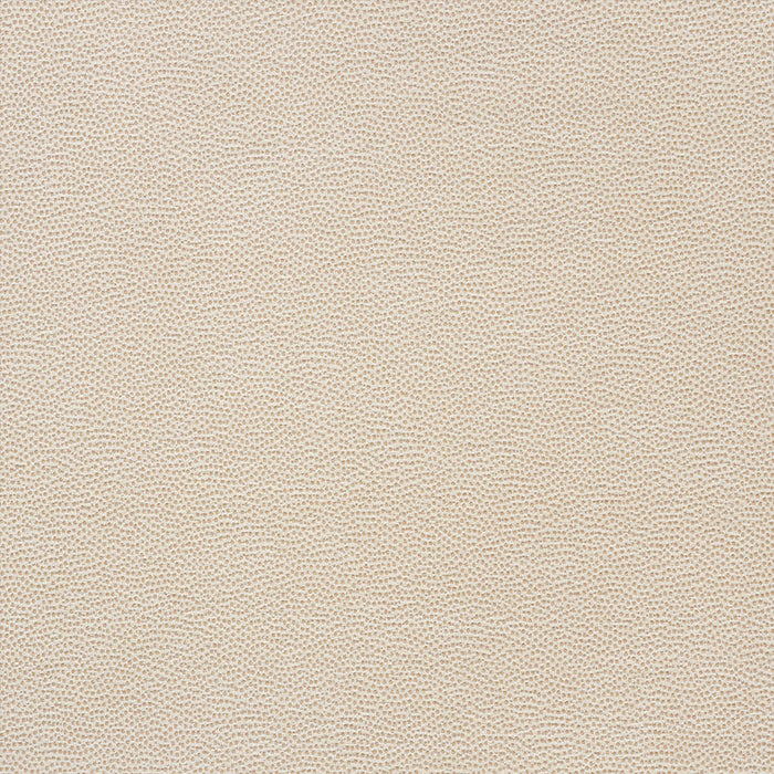 Schumacher Stingray Champagne Fabric Sample 75200