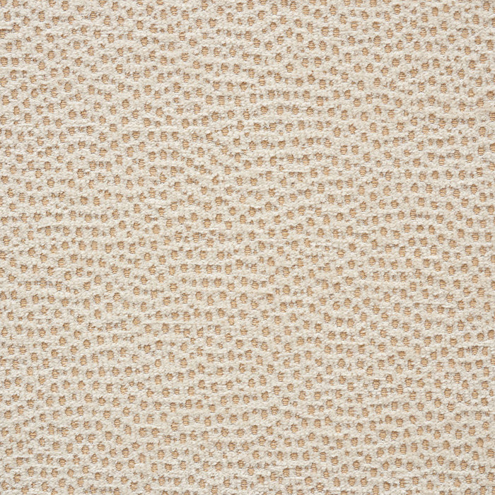 Schumacher Stingray Champagne Fabric Sample 75200