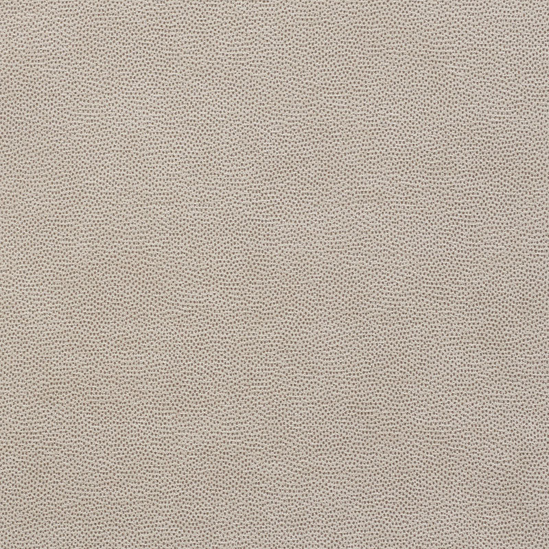 Schumacher Stingray Zinc Fabric 75202