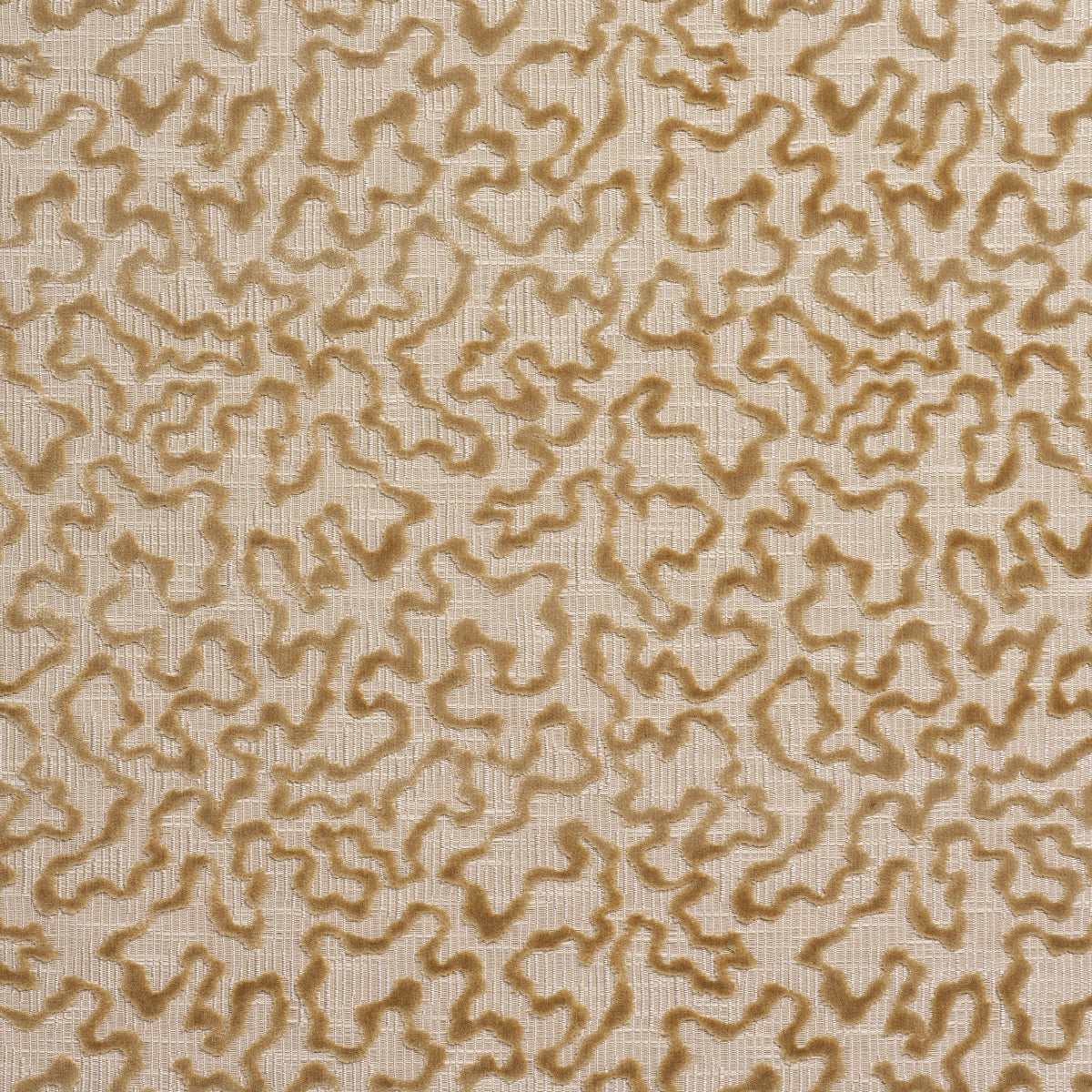 Schumacher Janis Velvet Champagne Fabric 75224