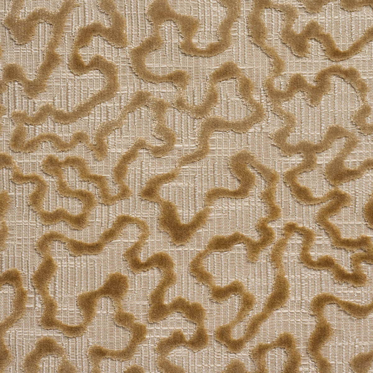 Schumacher Janis Velvet Champagne Fabric Sample 75224