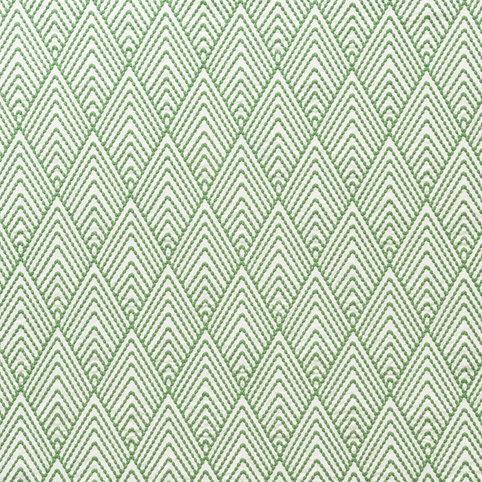 Schumacher Avila Embroidery Green Fabric Sample 75370