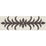 Schumacher Acanthus Tape Basalt Trim 75441