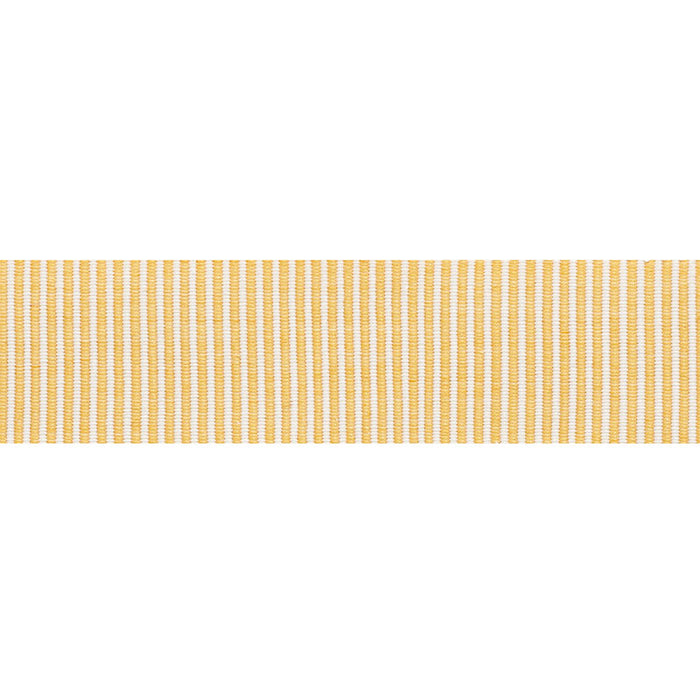 Schumacher Knox Tape Gold Trim Sample 75581