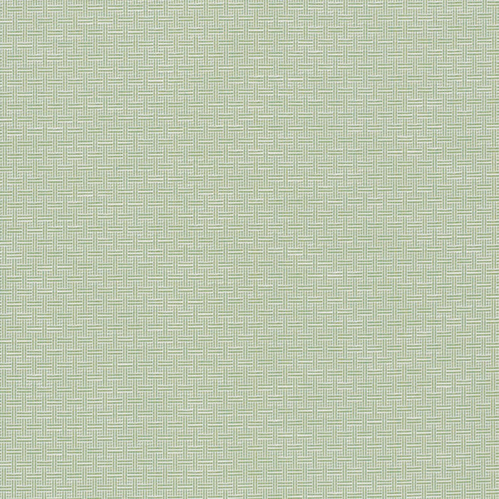 Schumacher Brickell Indoor/Outdoor Leaf Fabric Sample 75931