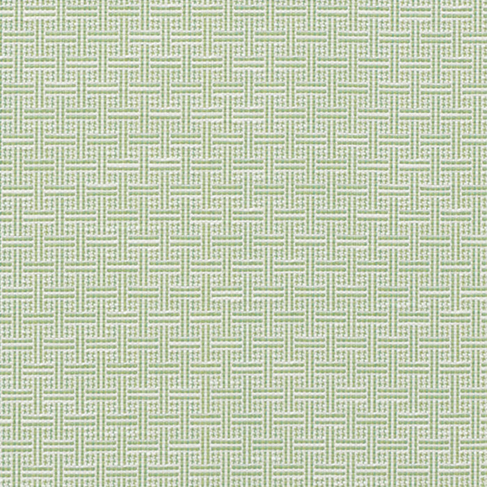 Schumacher Brickell Indoor/Outdoor Leaf Fabric Sample 75931