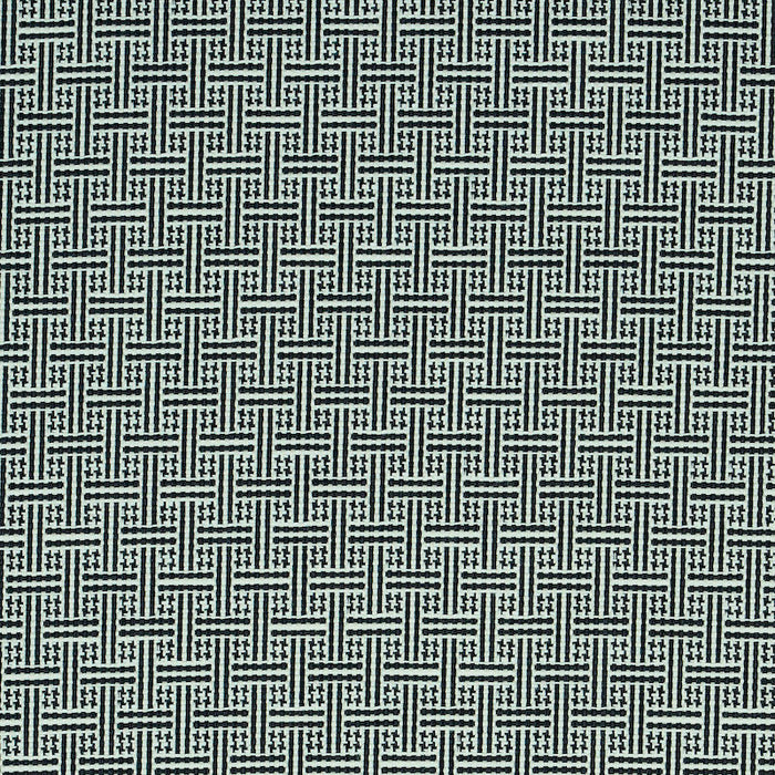 Schumacher Brickell Indoor/Outdoor Black Fabric Sample 75935