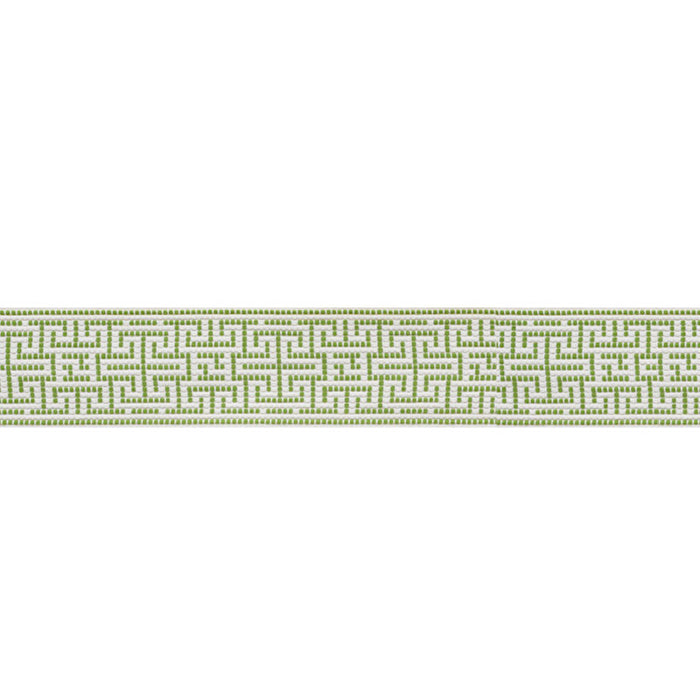 Schumacher Maze Tape Indoor/Outdoor Leaf Trim Sample 75951