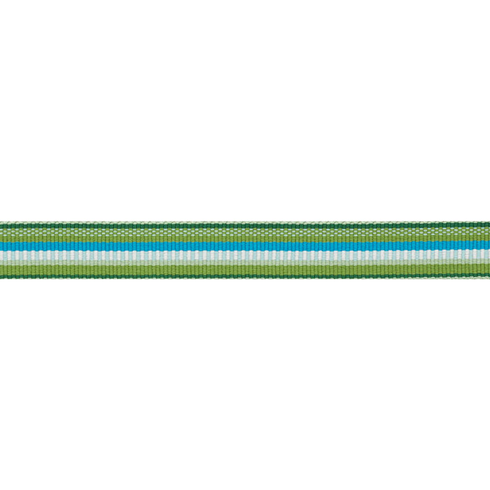 Schumacher Primavera Tape Narrow Meadow Trim 75980