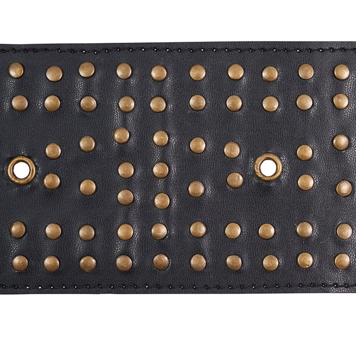 Schumacher Studded Leather Trim Black Trim Sample 76092