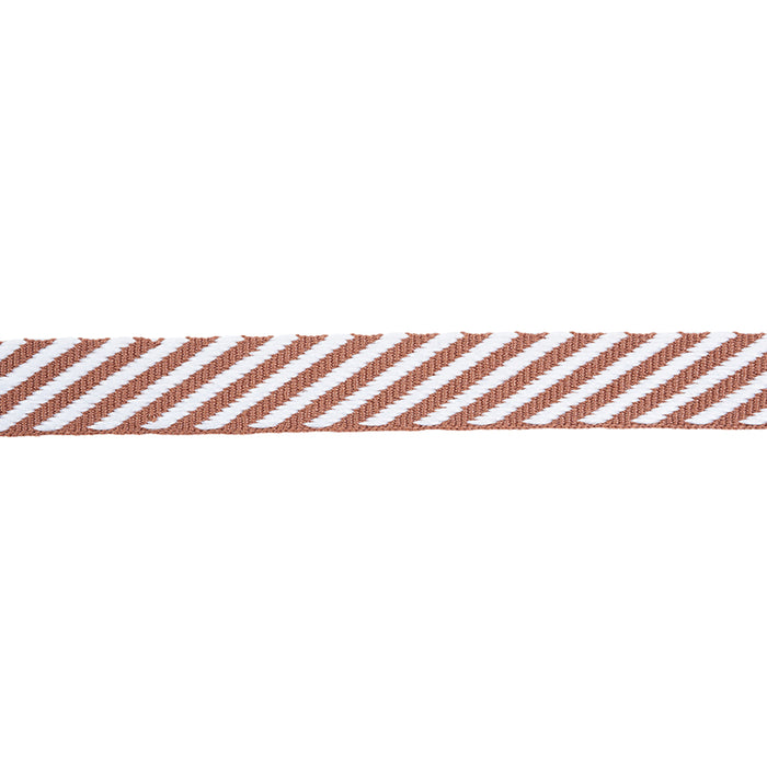 Schumacher Twill Tape Saddle Trim Sample 76102