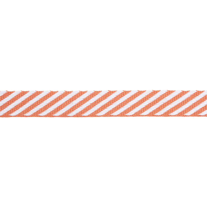 Schumacher Twill Tape Orange Trim Sample 76103