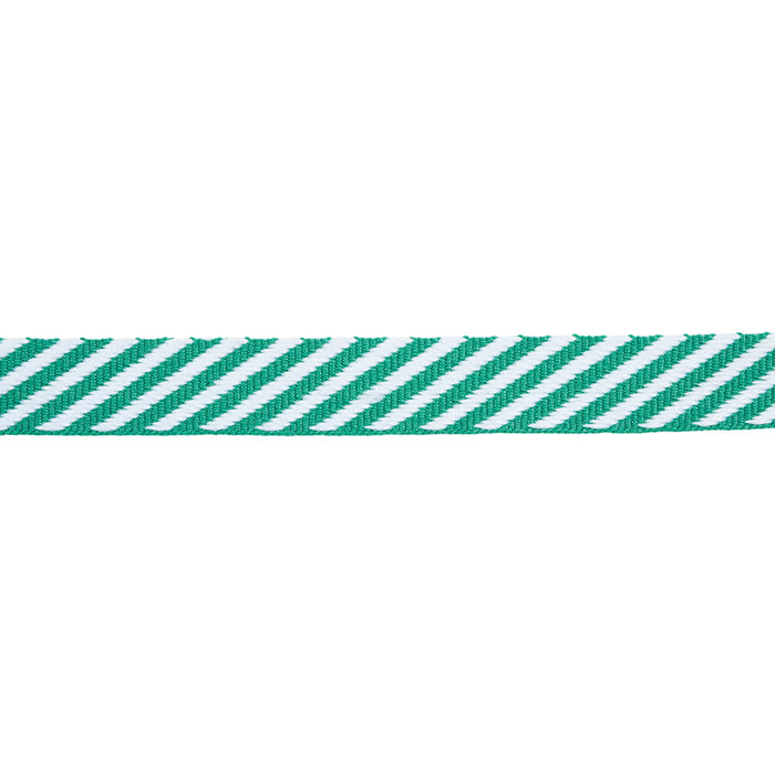 Schumacher Twill Tape Emerald Trim Sample 76106