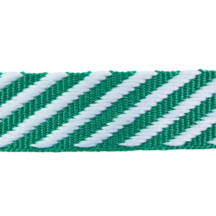 Schumacher Twill Tape Emerald Trim Sample 76106